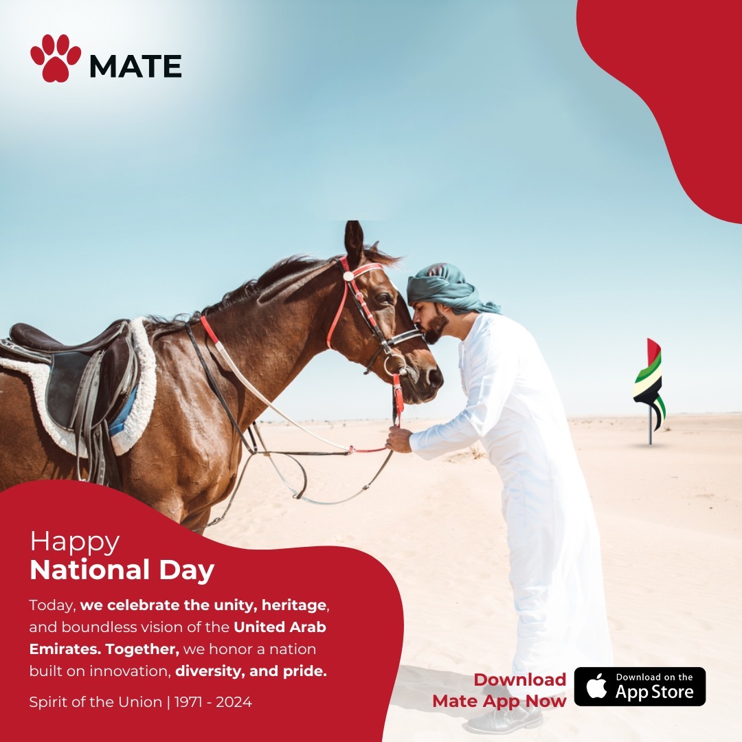 WhatsApp Image 2024-11-29 at 15.40.36_02c3516c